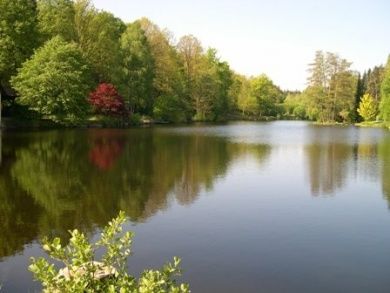 Sägmühlweiher bei Ludwigswinkel