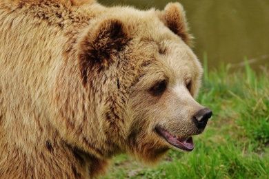 Wild- und Freizeitpark Willingen