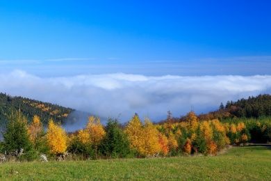 Naturpark Rothaargebirge im Sauerland