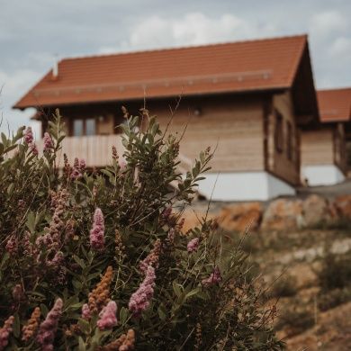 Ferienhäuser Oberwald Chalet