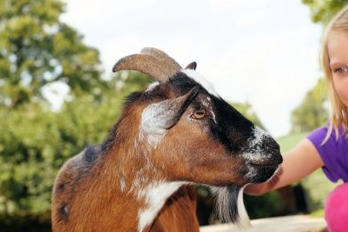 Tierpark Bretten