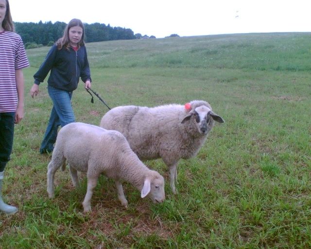 Familien- und Gruppenherberge im alten Hof - Vogelsberg - Bauernhof erleben