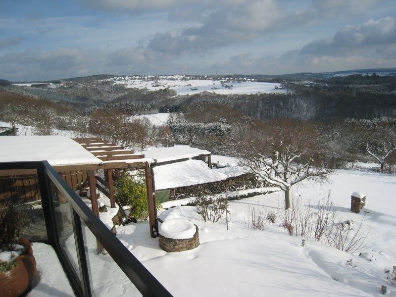 Garten im Winter