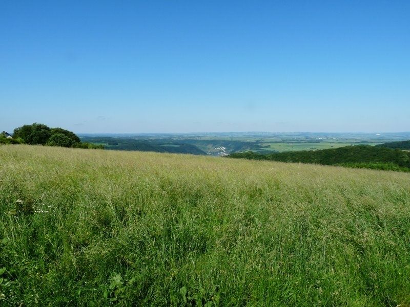 Blick auf Nörtershausen