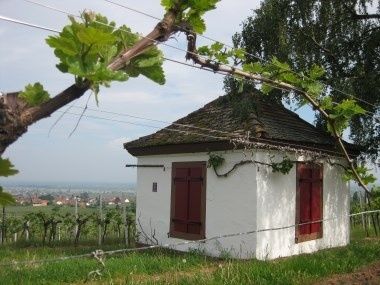 Gartenhäusel am Rhodter Schloßberg