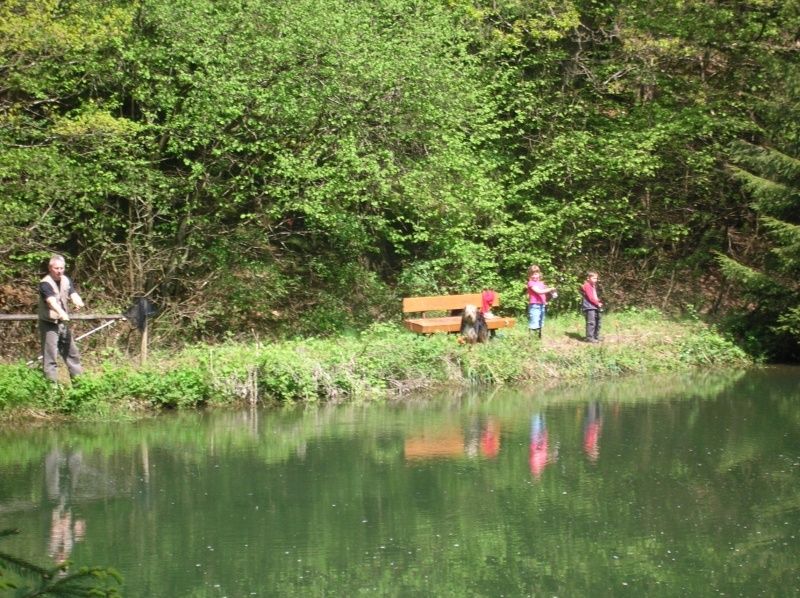 Angelteich im Wald