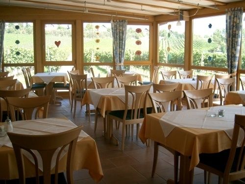 Gerne servieren wir Ihnen hausgemachten Kuchen - in unserem lichtdurchfluteten Wintergarten mit Ausblick auf die Weinberge oder auf unserer Sonnenterrasse ...