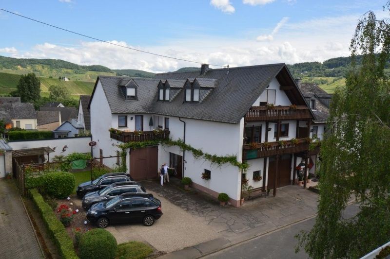 Weingut & Pension Günther Scholtes