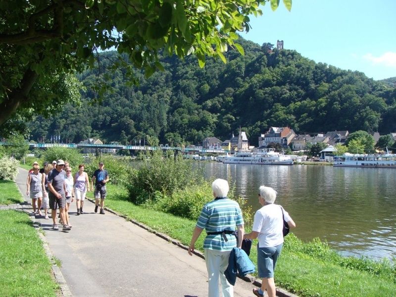 Wandern entlang der Moselufer