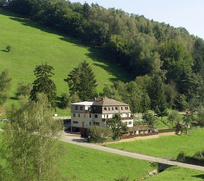 Hotel - Landgasthof Grüner Baum