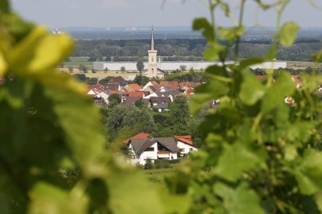 Weingut und Gutsschänke Haub, dem 