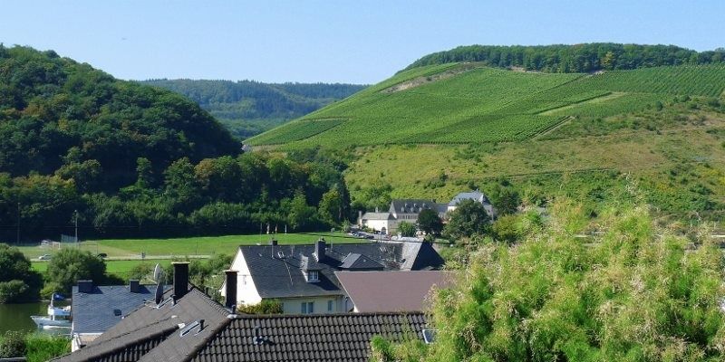 Ausblickbeispiel ins Moseltal vom Gästezimmer - Beispiel