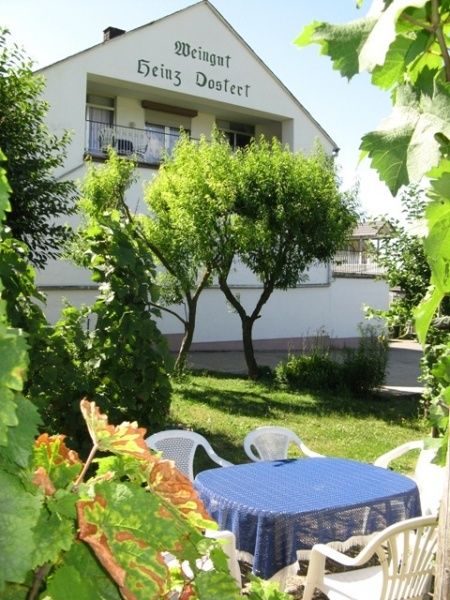 Weingut und Pension Heinz Dostert