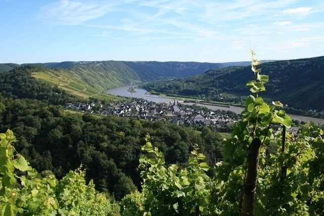 Ausblick Enkirch