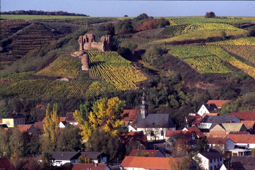 Ferienwohnung Schneider im Naheland