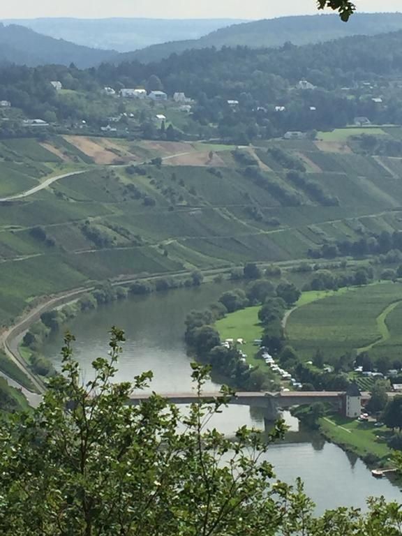 Weingut und Gästehaus Edwin und Brunhilde Hoffmann