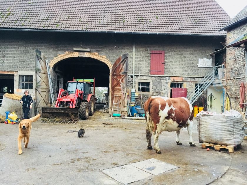 Familien- und Gruppenherberge im alten Hof - Vogelsberg - Bauernhof erleben