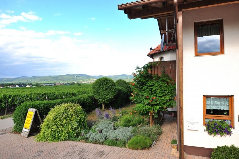 Weingut & Gästehaus - Im Schloßgarten