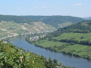 Mosel