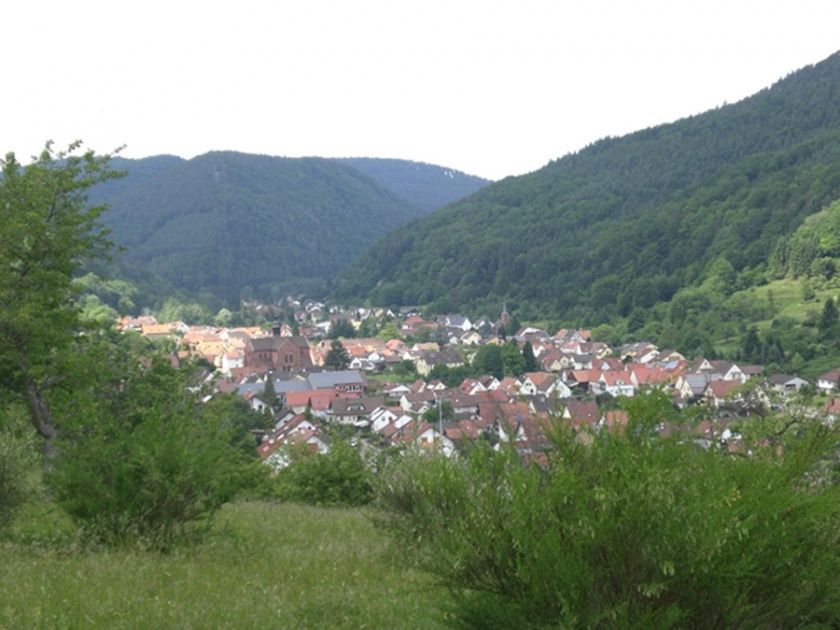 Blick auf Eußerthal