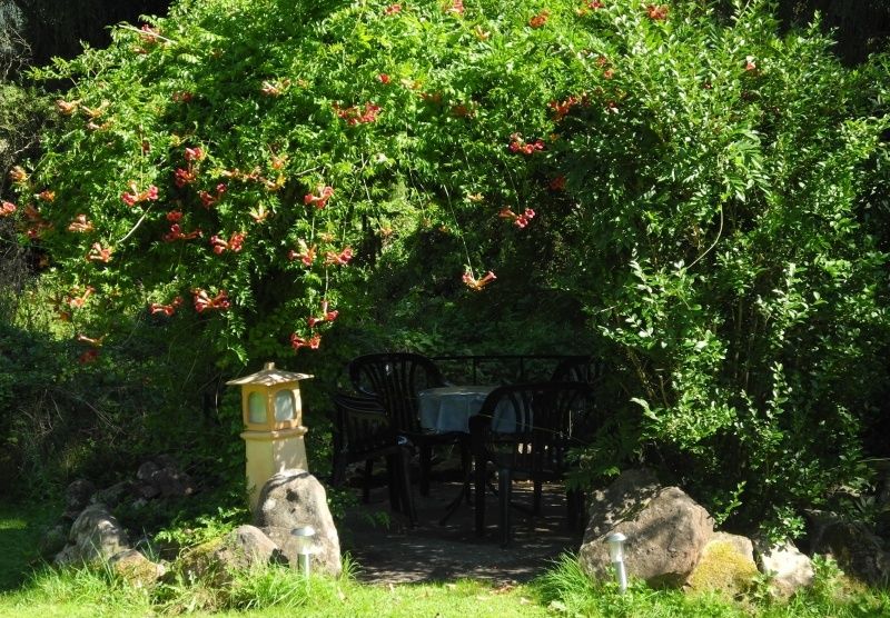 Ferienwohnung Maimontblick im Dahner Felsenland