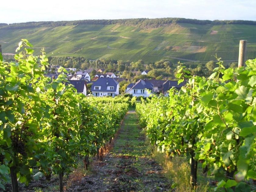 Sicht hinter dem Feriendomizil Roussel in Andel