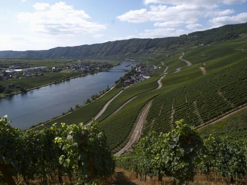 Wein- und Gästehaus Elmar Ebert-Neukirch - An einer der schönsten Moselschleifen