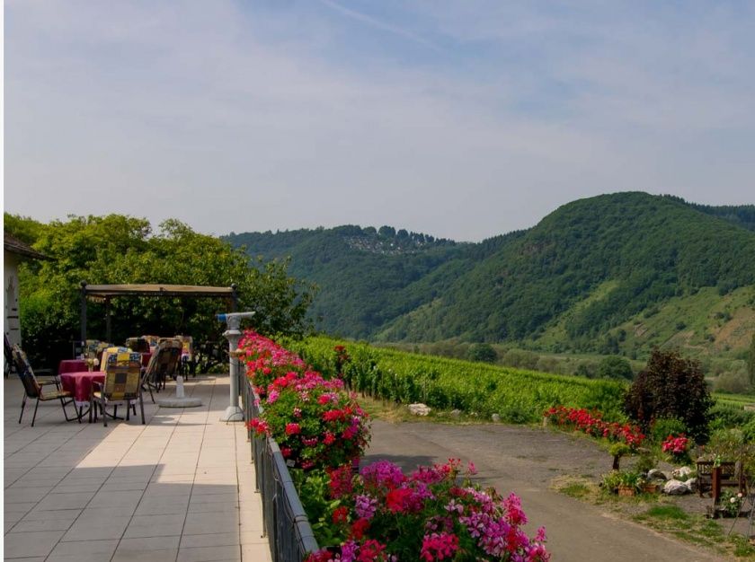 Ferienweingut Heidhof in Burg an der Mosel