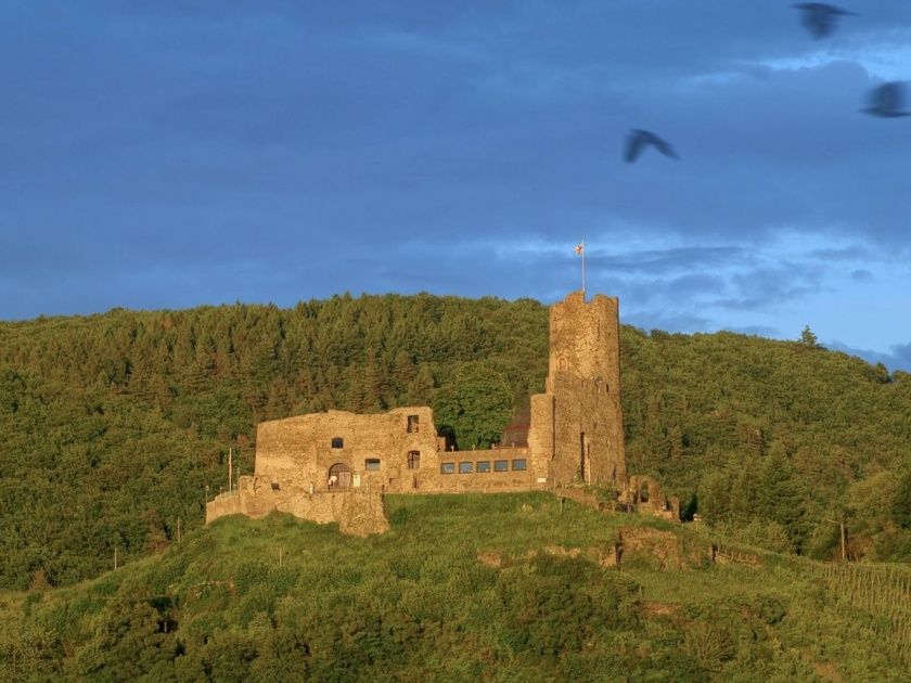 Mosel Ferienwohnungen in bester Lage von Bernkastel-Kues