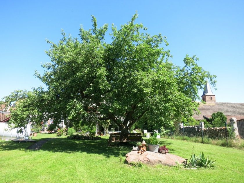 Ferienwohnung Cäcilia