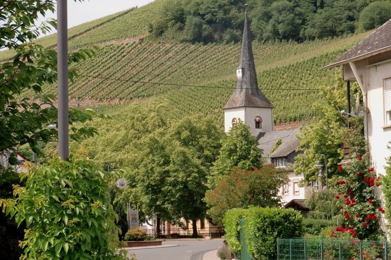 Ferienwohnungen Walter & Ursula Kühl - Weingut Ignaz Kühl