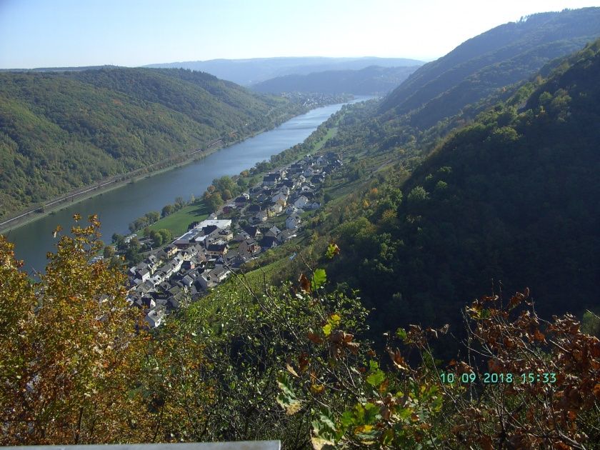 Ferienwohnung Moselblick (Mittelmosel)