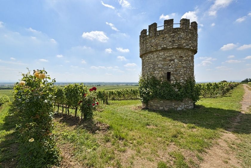 Weinbergshäuschen im Wonnegau