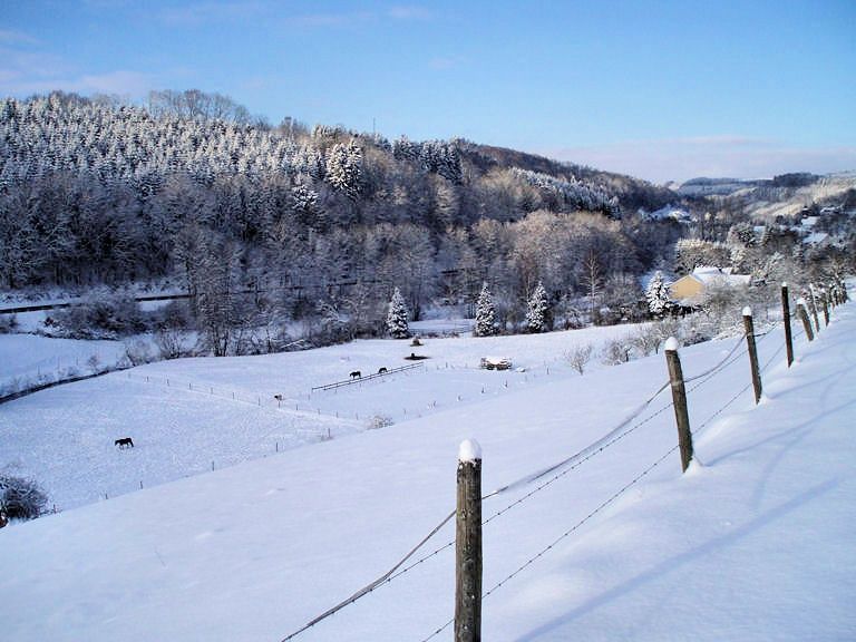 Die Ranch im Winter
