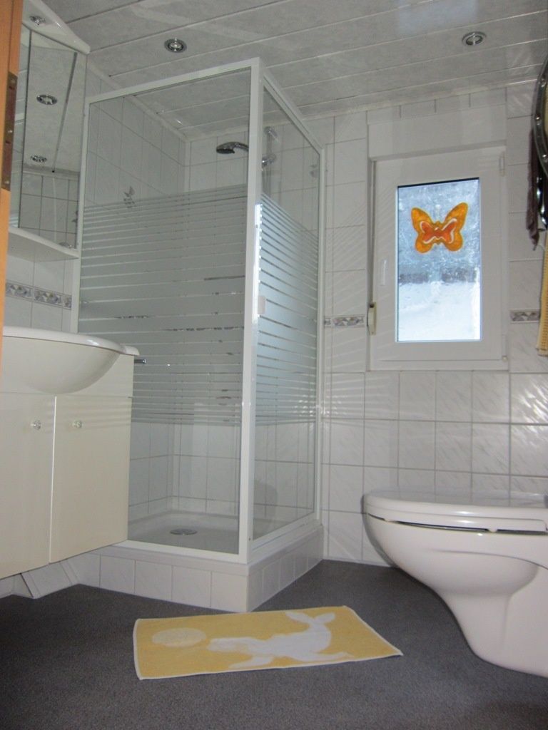 Badezimmer Dusche, WC, Waschbecken, Föhn