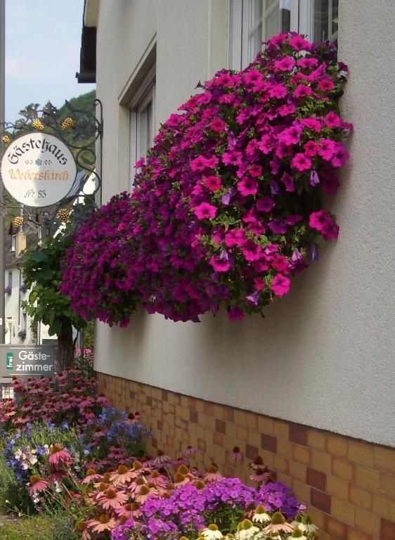 Gästehaus Weberskirch in Ernst an der Mosel