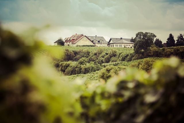 Weingut & Gästehaus Hagemann