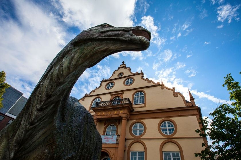 Naturkundemuseum Kassel im Ottoneum