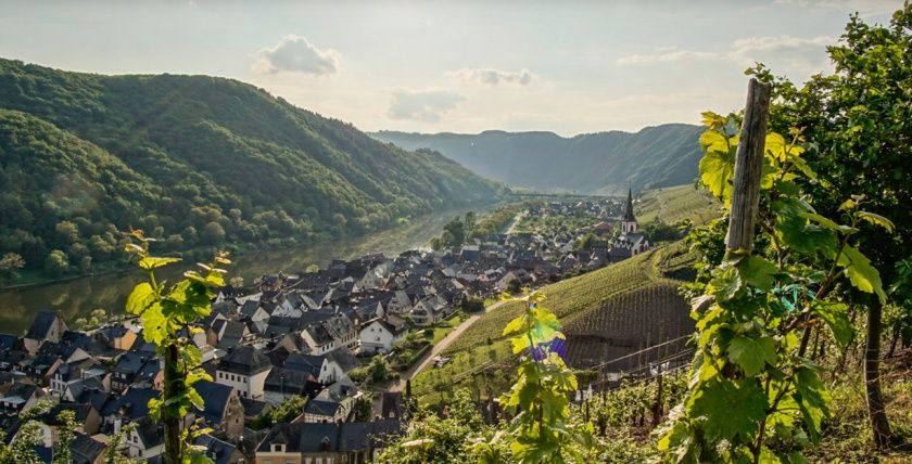 Weingut Haupts Alte Winzerstube an der Mosel