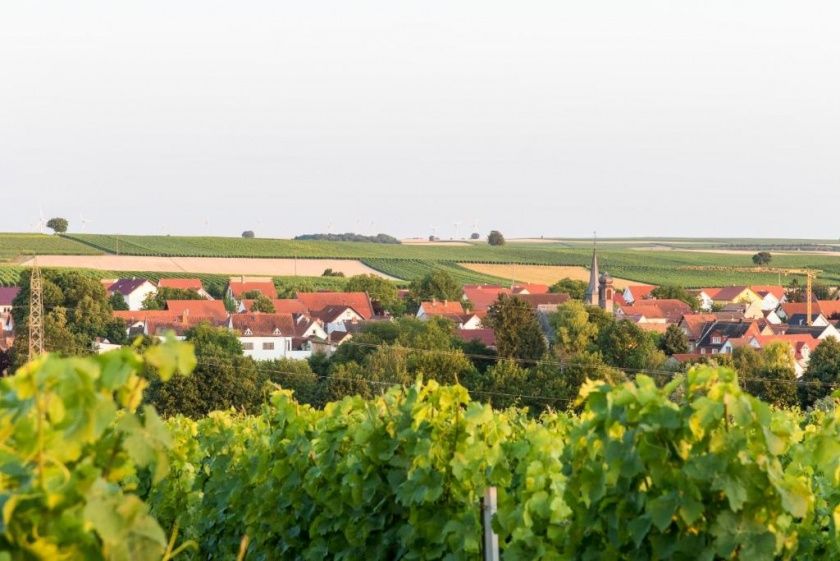 Gästehaus im Weingut Henrici