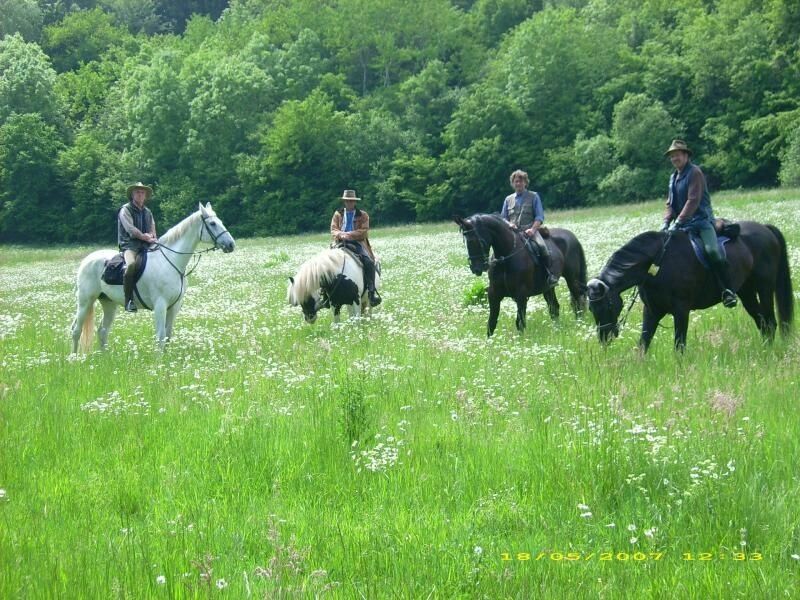 Urlaub - Reiten - Wandern - Erholen