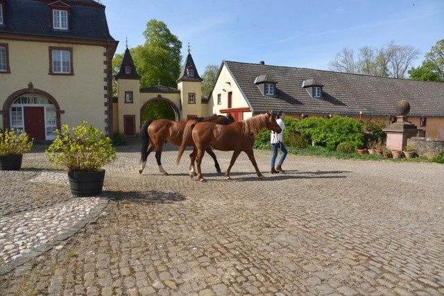 Ferienhaus im Park von Schloss Schmidtheim - LA MAISON