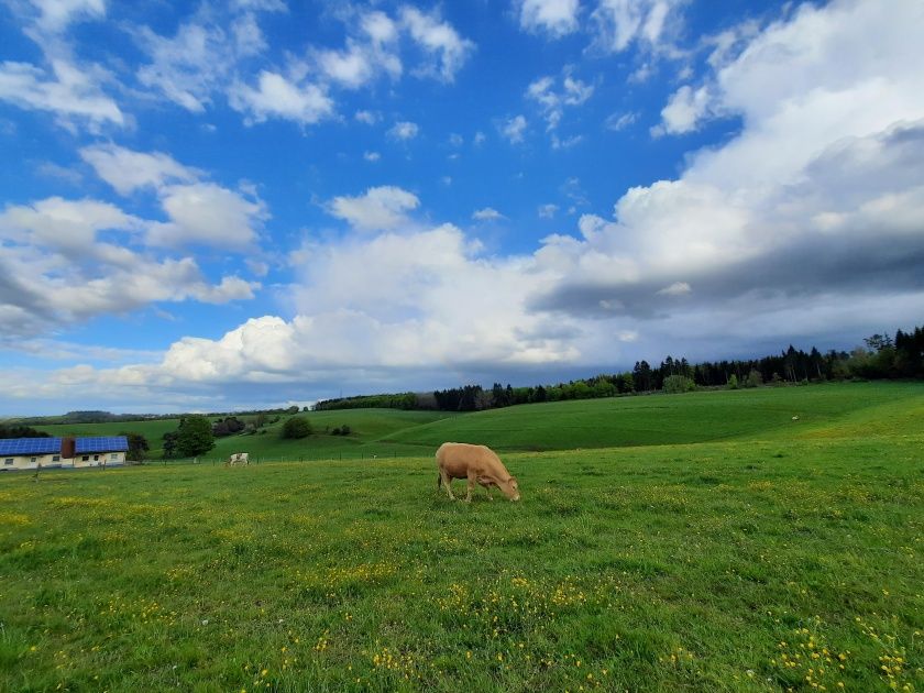 wundervolle Landschaft