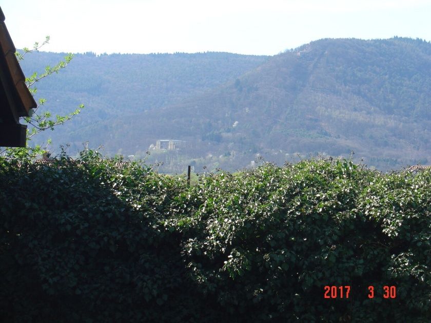 Blick vom Garten zur Villa Ludwigshöhe