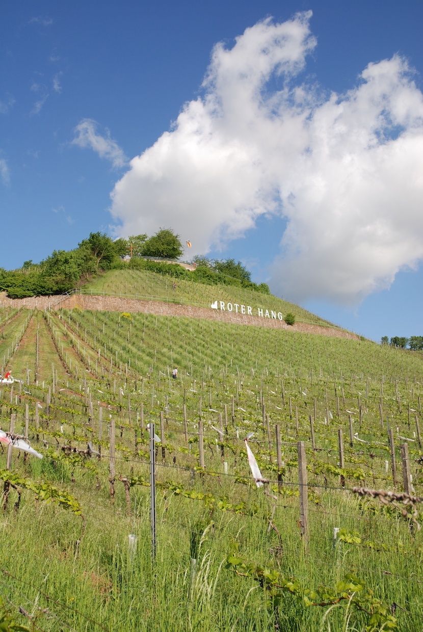 Weingut und Gästehaus Julianenhof