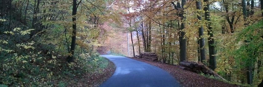 Ferienwohnung Alte Schule Malberg 3 in der Eifel