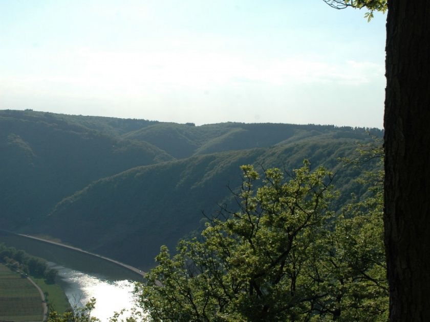 Wein- und Ferienhaus Bauer