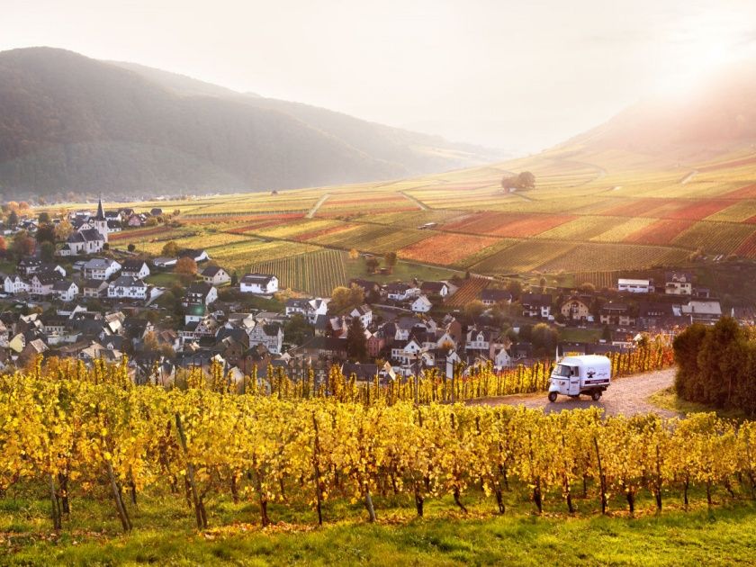 Ferienweingut Andrae-Goebel