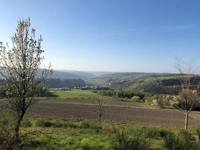 Ferienwohnung Zum Findling