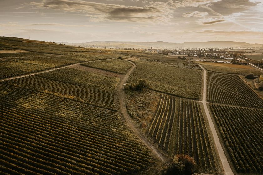 Weingut & Gästehaus Vogt-Fehlinger